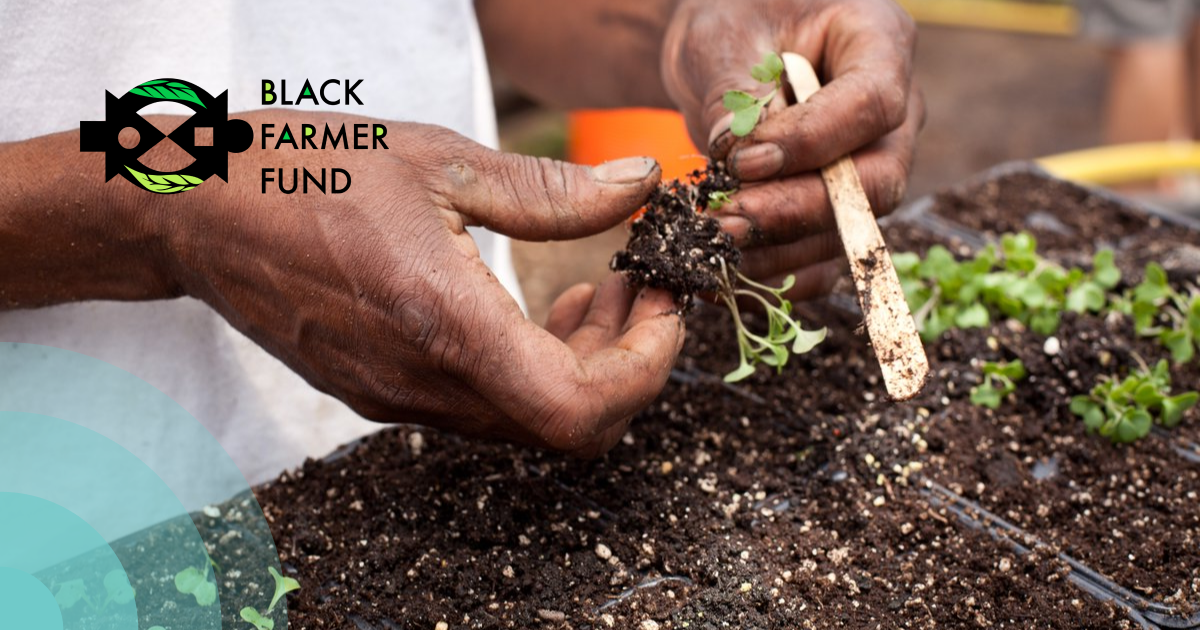 Bringing Black Farmers and Food Businesses into the Fold