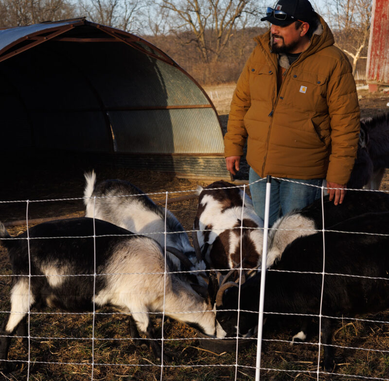 Damian Rivera feeding goats at a local farm.
