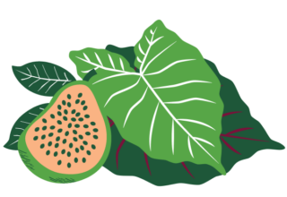 An icon of a passionfruit set on top of taro leaves.