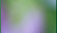 Client Image Placeholder