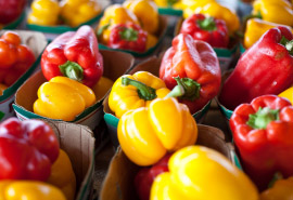 Red and yellow bell peppers arranged in small cardboard cartons at a market or produce stand.