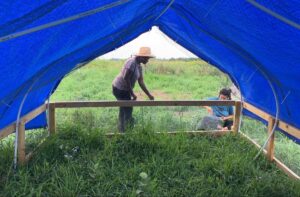 Two people work inside a blue tarp shelter on a grassy field, one standing and one sitting.