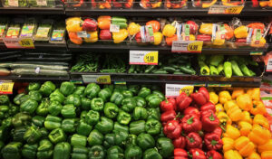 Colorful bell peppers and vegetables are neatly stacked on shelves in a grocery store produce section.