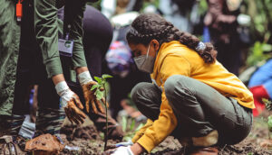 A person in a yellow hoodie and mask plants a seedling outdoors, surrounded by others.