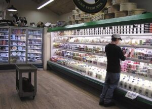 A man in a cap selects milk from a grocery store dairy section with shelves of milk and cheese.