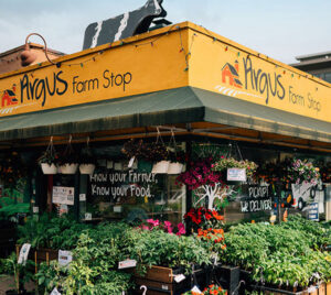 A small farm store with a yellow sign, hanging flower baskets, and plants for sale outside.