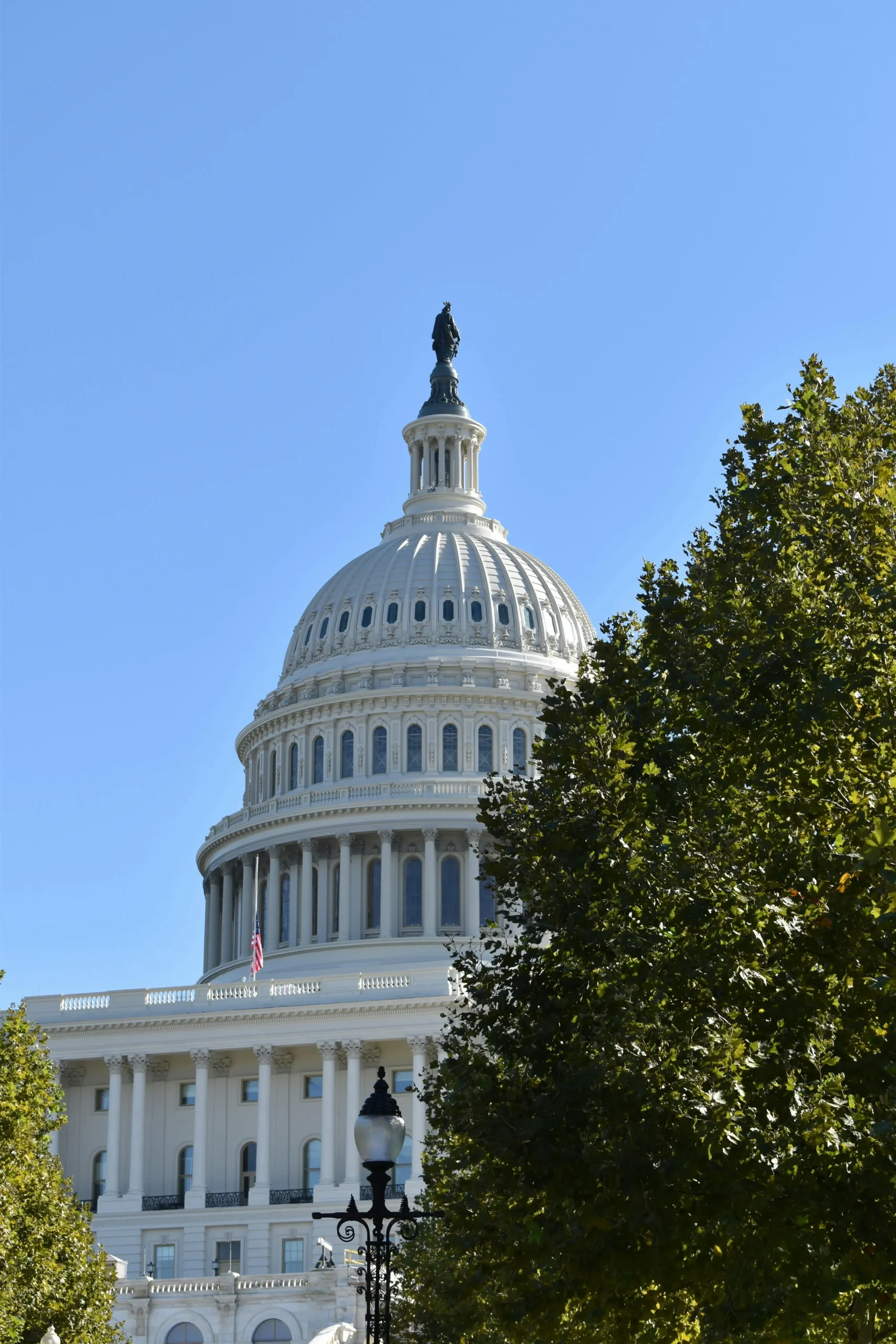 homepage-card#3-public-policy