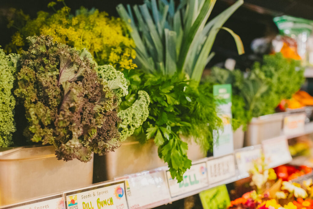 Fresh leafy greens and herbs displayed in bins at a grocery store produce section.