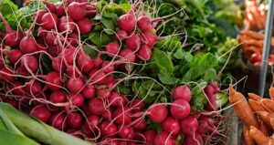 A pile of fresh red radishes with green leaves, next to some carrots at a market.